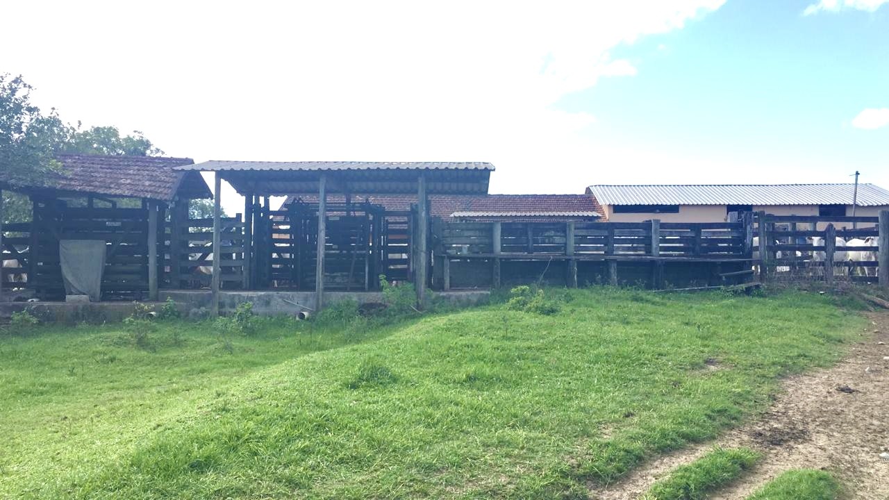 Fazenda, 252 hectares - Foto 2