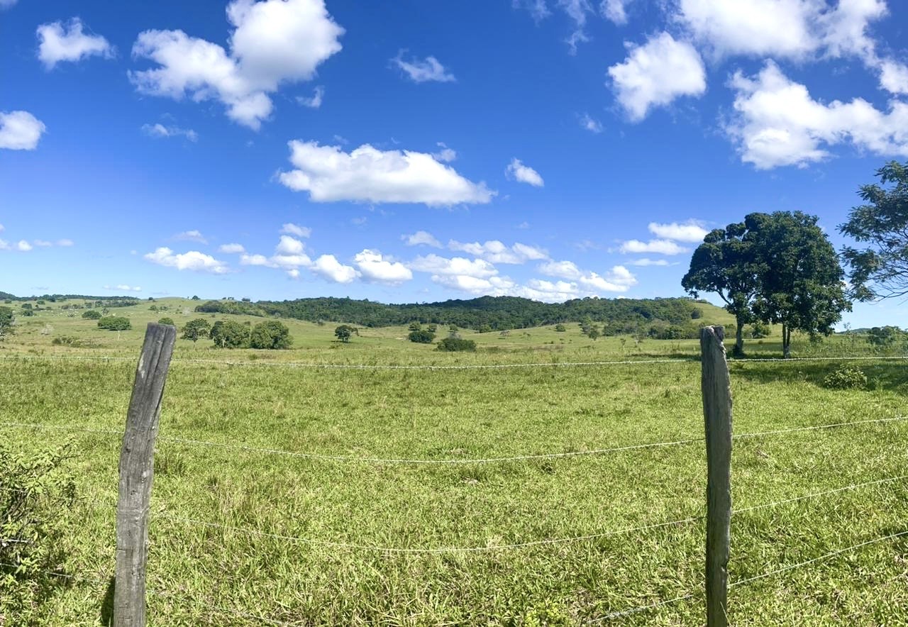 Fazenda, 252 hectares - Foto 7