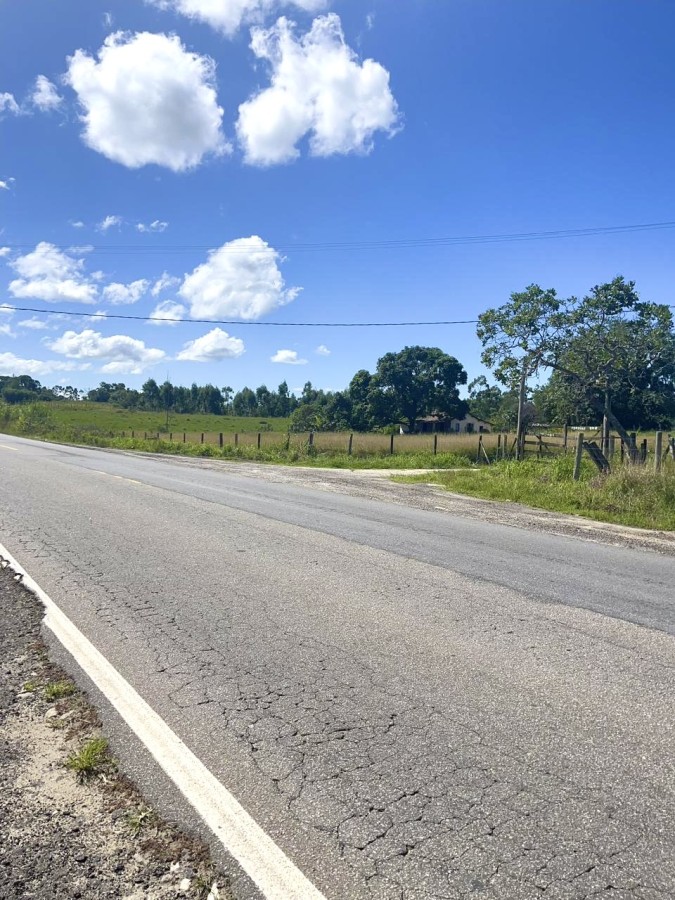 Fazenda, 252 hectares - Foto 8