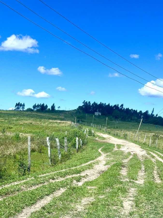 Fazenda, 252 hectares - Foto 9