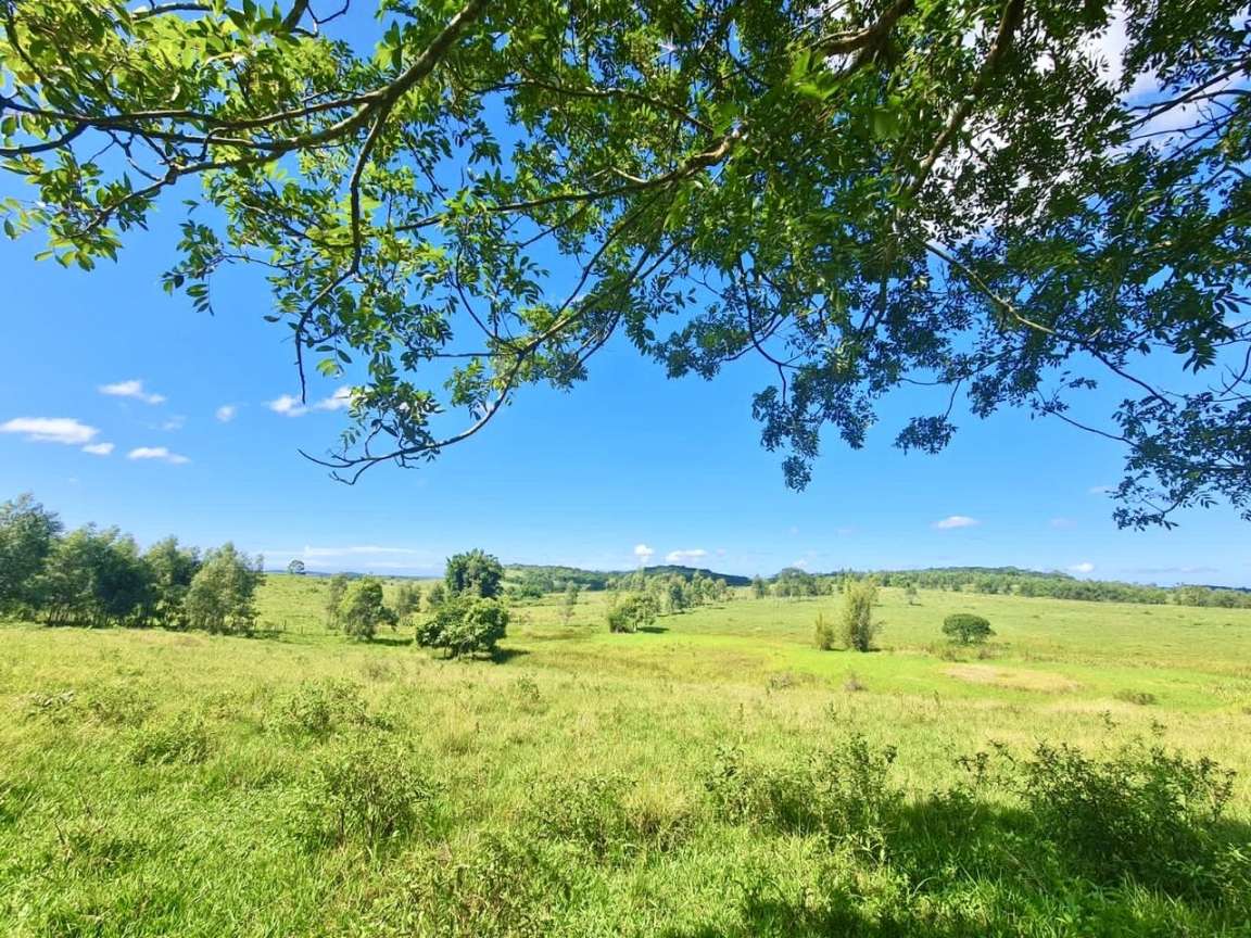 Fazenda, 252 hectares - Foto 14