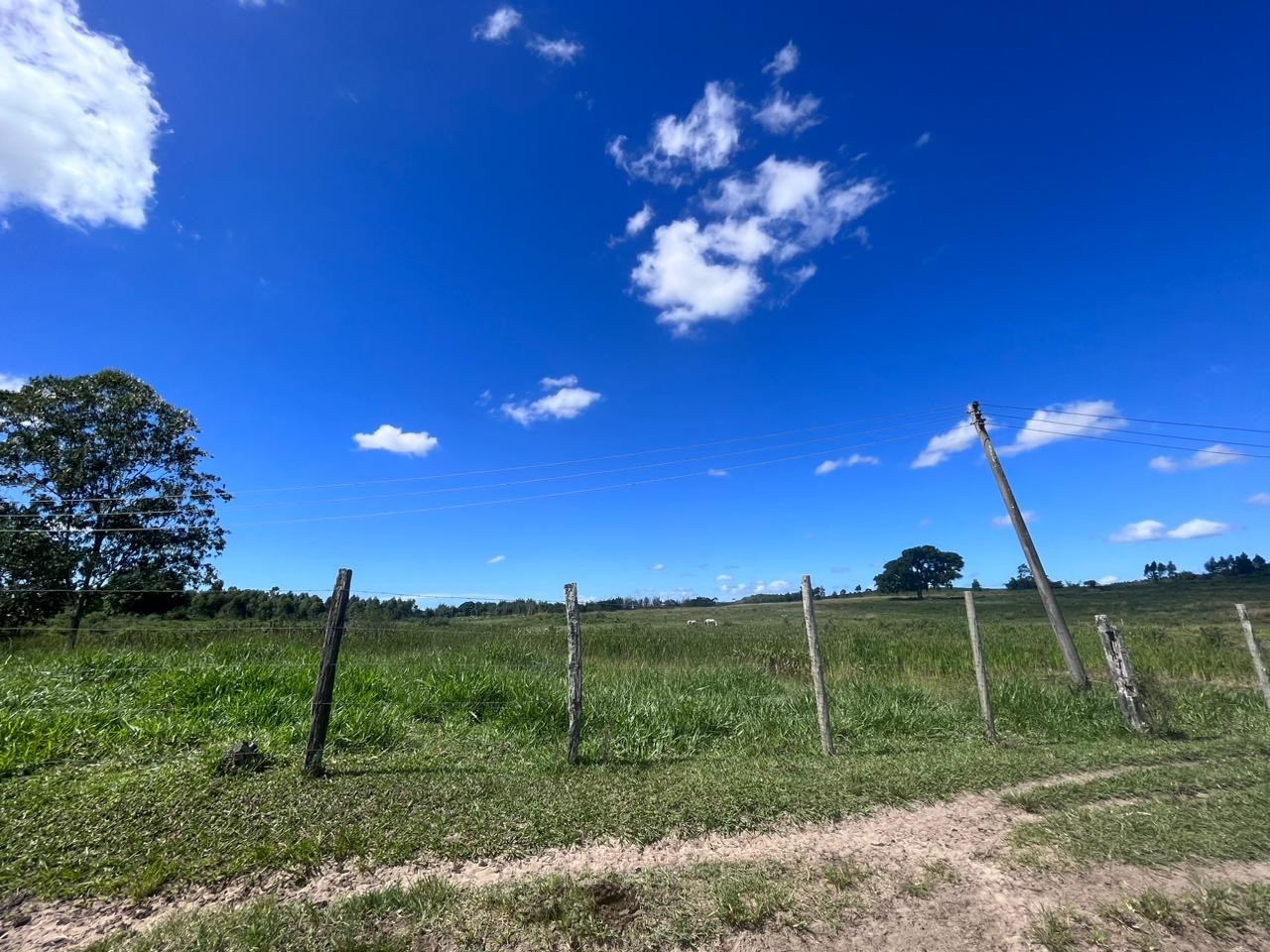 Fazenda, 252 hectares - Foto 10