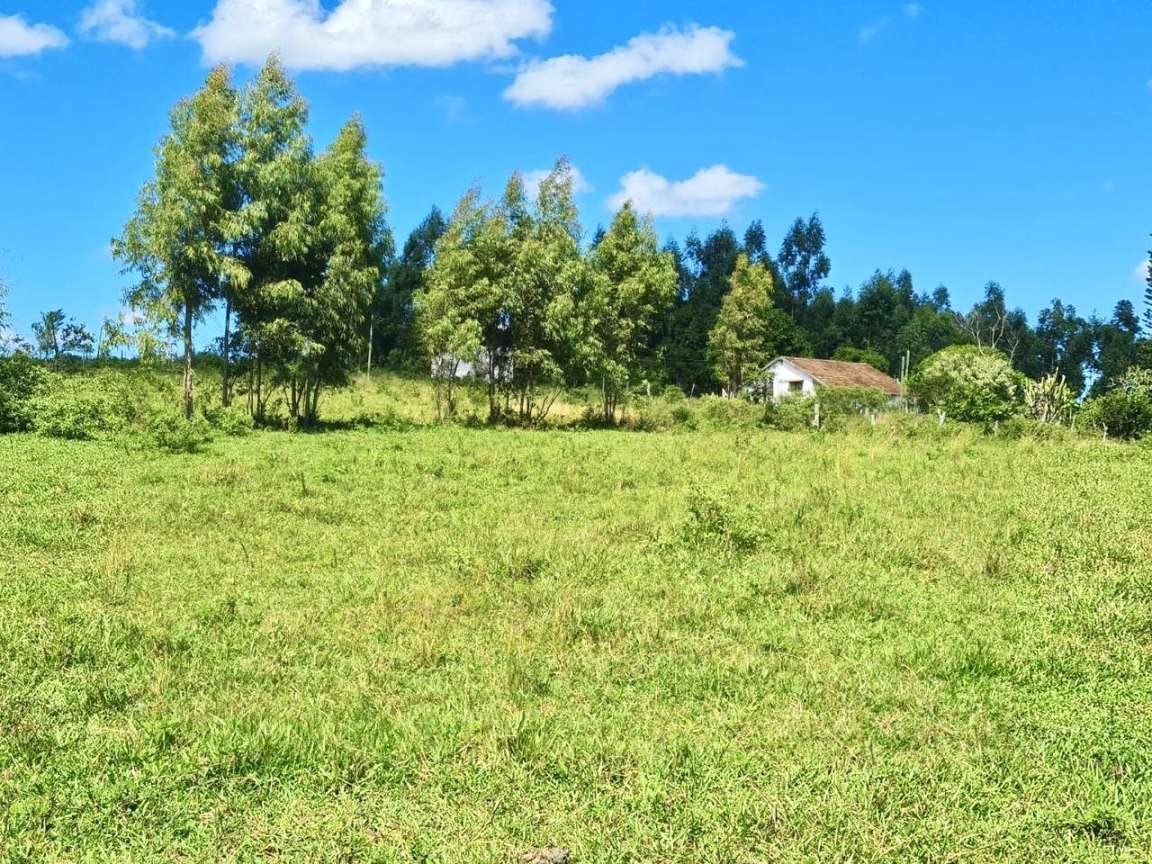 Fazenda, 252 hectares - Foto 13
