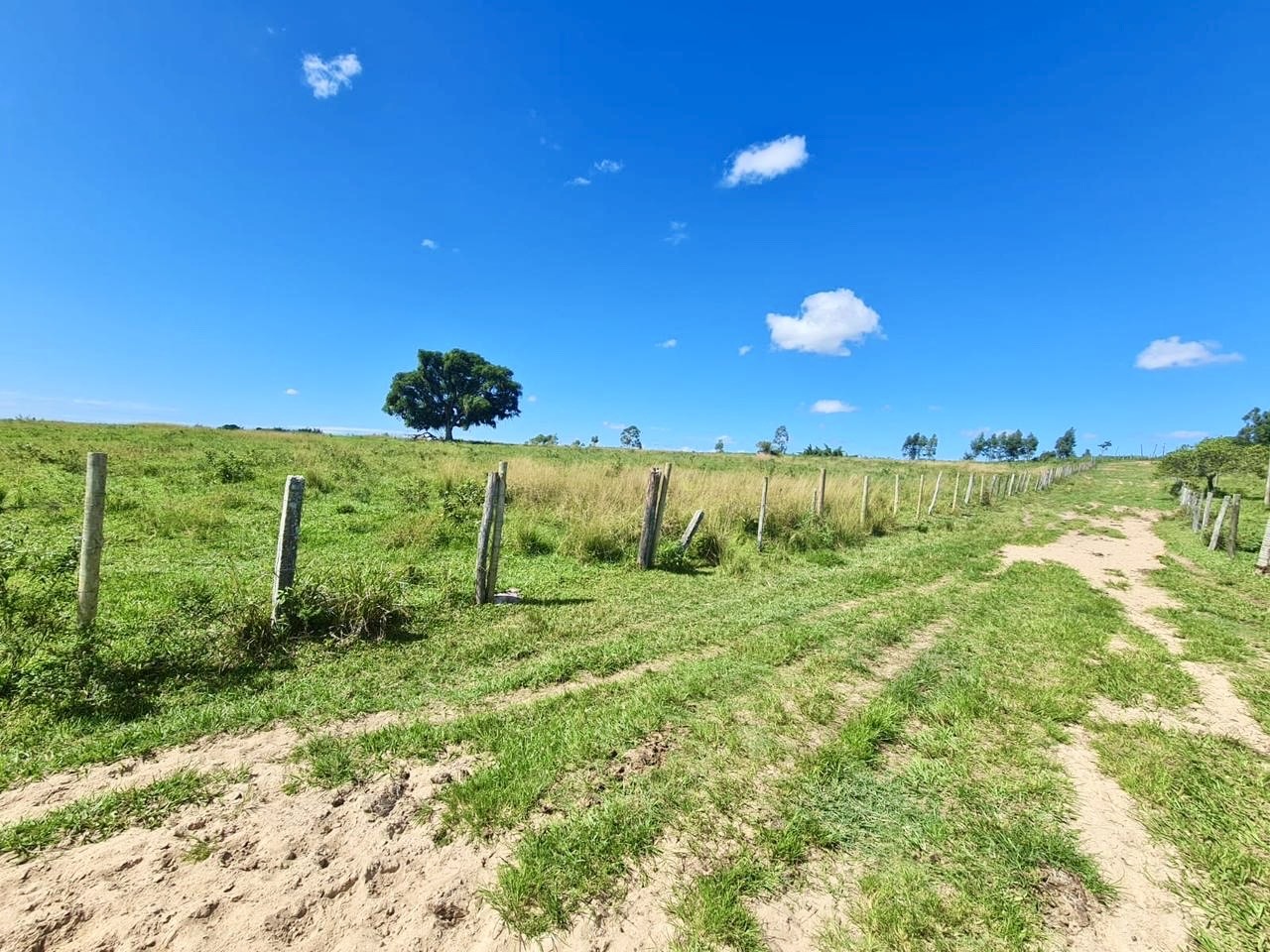 Fazenda, 252 hectares - Foto 17