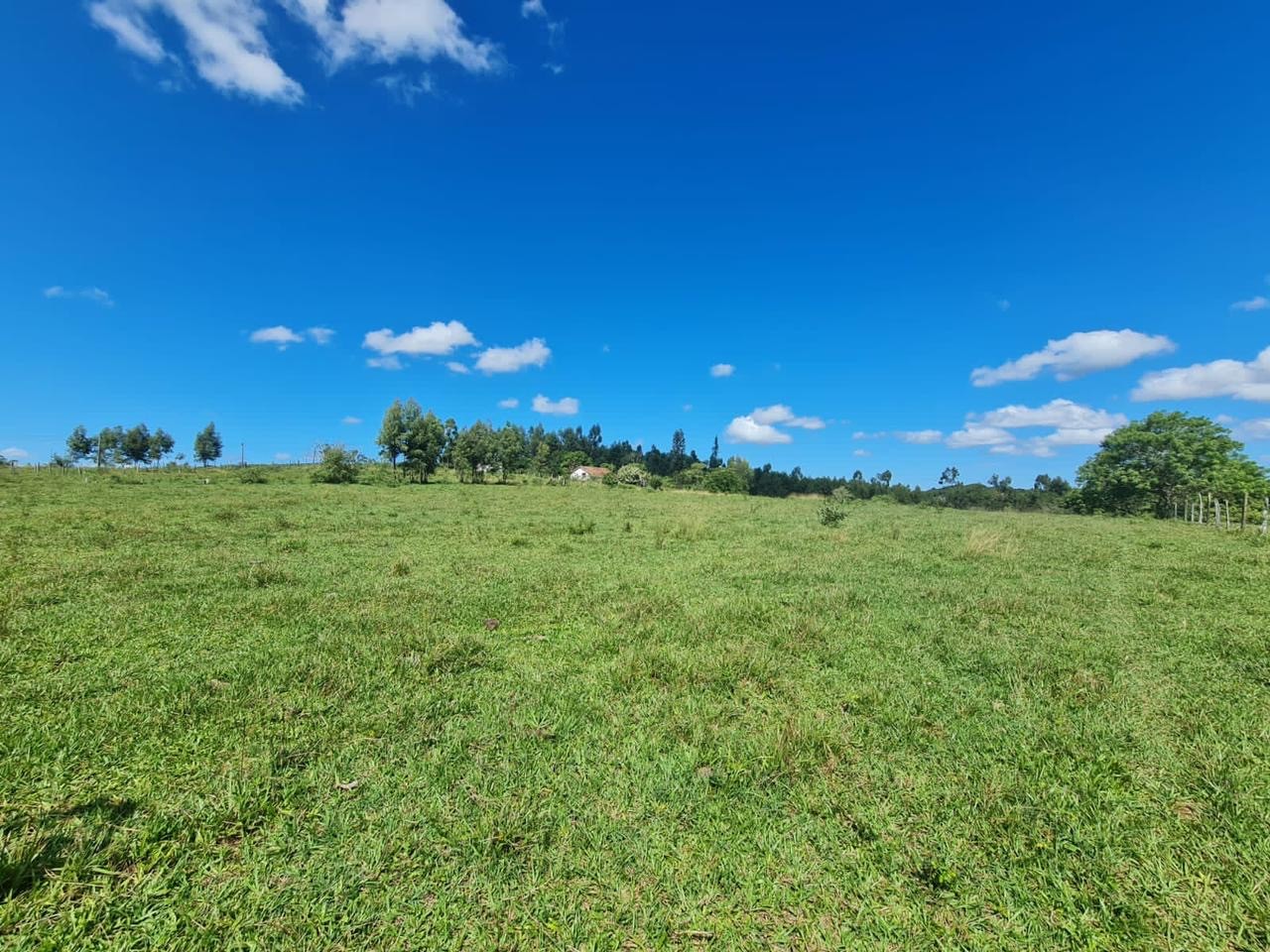 Fazenda, 252 hectares - Foto 15