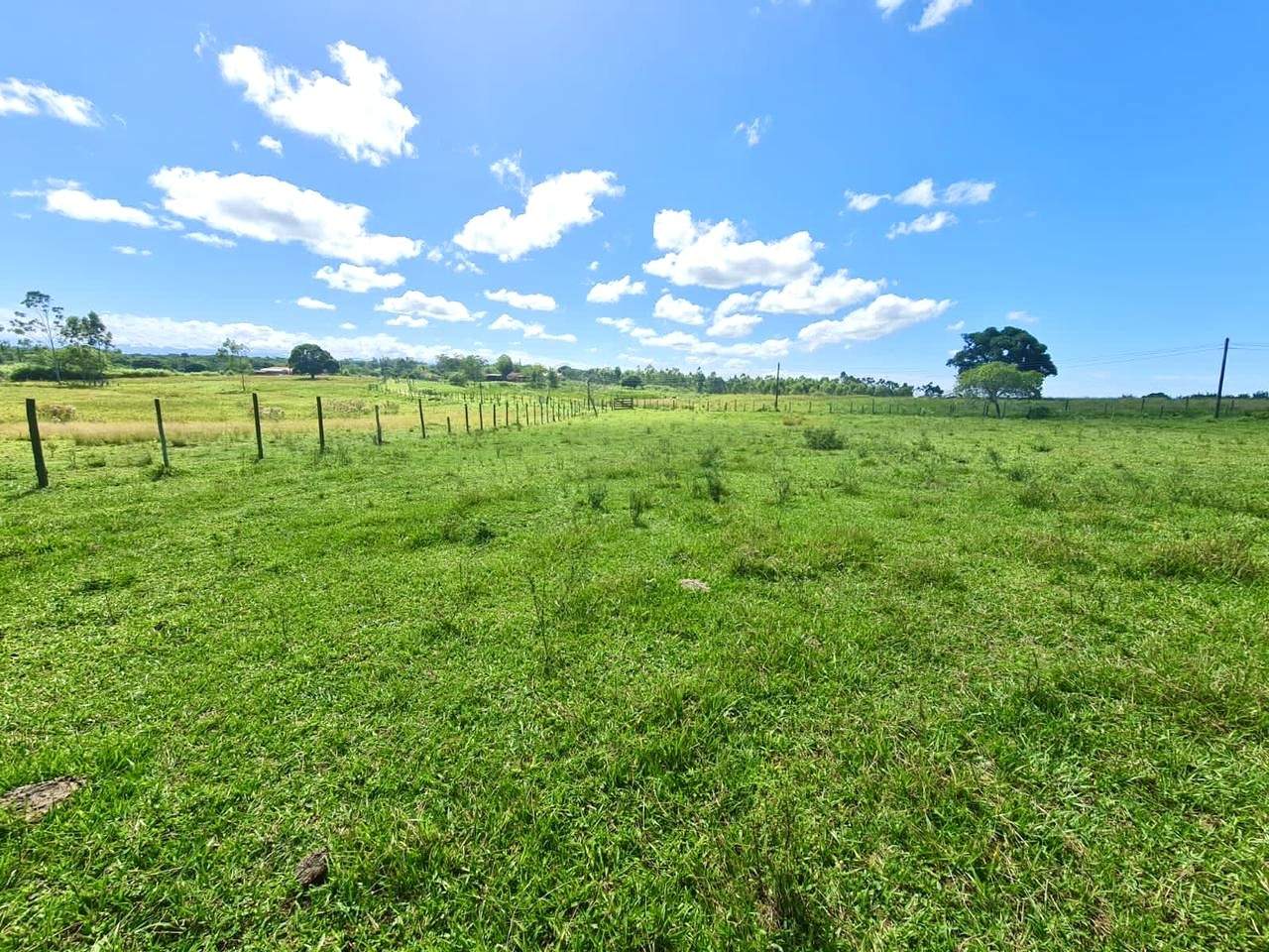 Fazenda, 252 hectares - Foto 16