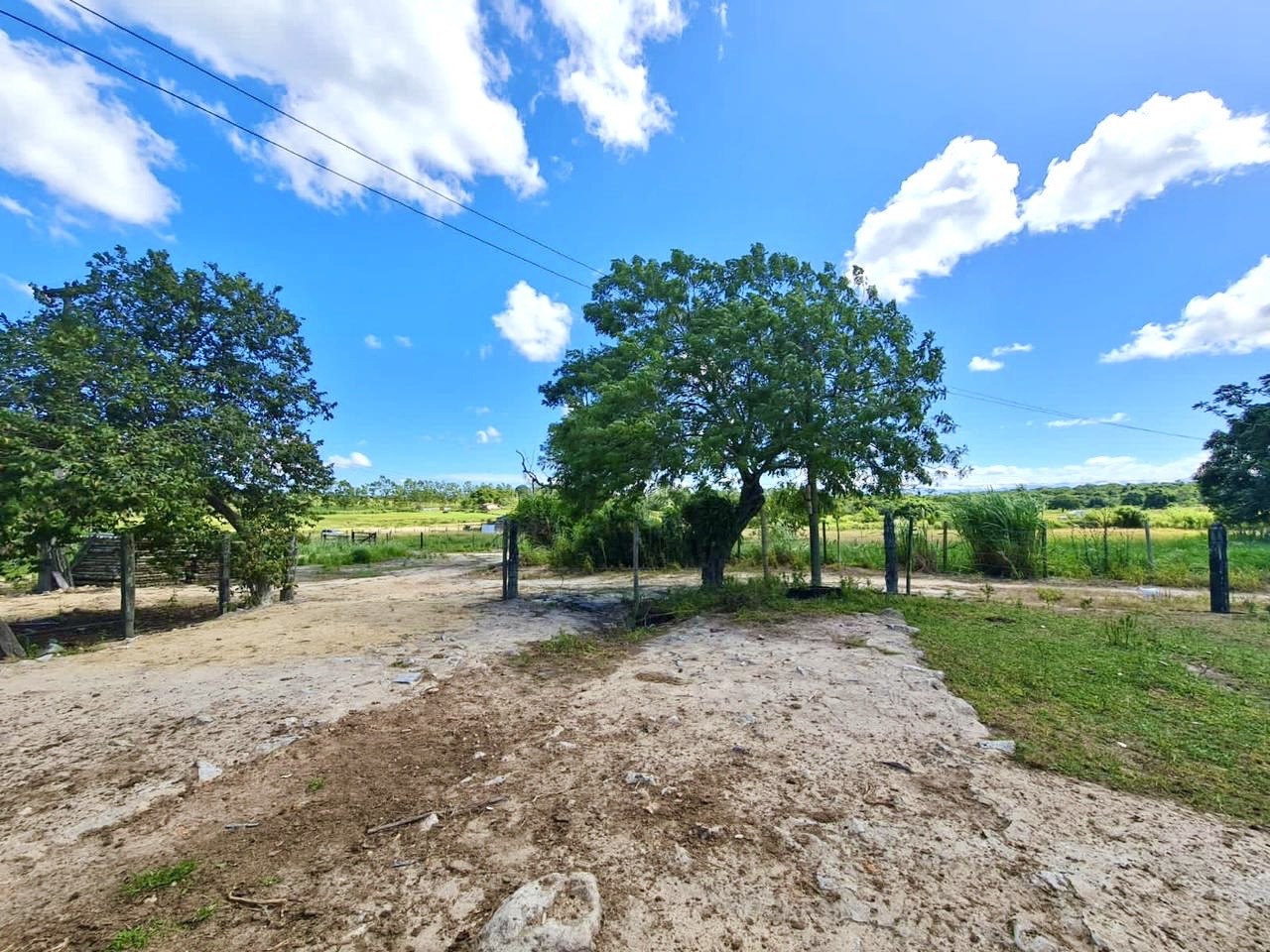 Fazenda, 252 hectares - Foto 20